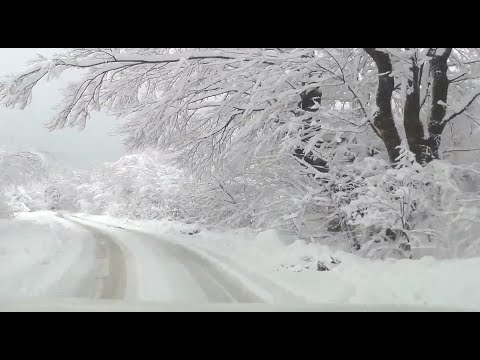 WINTER WALTZ, LOVE WALTZ - Eugen Doga -  Gramophon Waltz