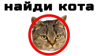 Найди кота.