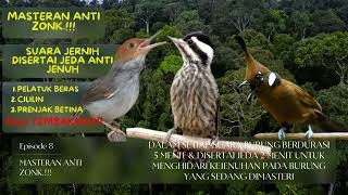 Download lagu MASTERAN ANTI ZONK Part 10. FULL TEMBAKAN CILILIN, PELATUK BERAS & PRENJAK BETINA mp3