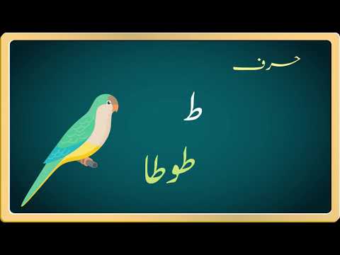 Tooy Tota | URDU Alphabet Sounds Series Part 32