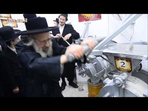 Deizh Rebbe Grinding Wheat for Matzah -  5778