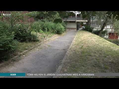 Több helyen is járdák újulhatnak meg a városban - 2021.07.09.