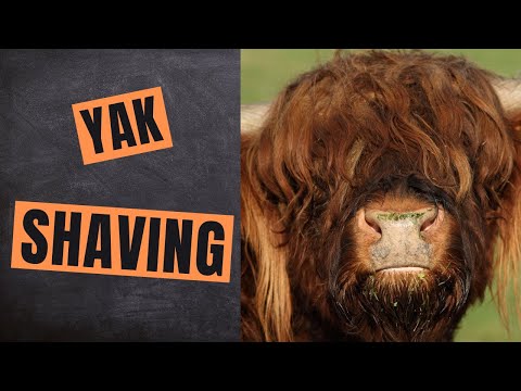 Yak Shaving | How to get the right things done and feel good about it