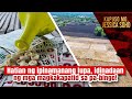 Hatian ng ipinamanang lupa, idinadaan ng mga magkakapatid sa pa-bingo! | Kapuso Mo, Jessica Soho