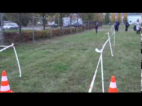 Wtorki Biegacza 14.10.2014, 600 m chłopcy 2002 i 2003