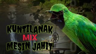 Download lagu 🔴SERAAAAM‼️CUCAK IJO GACOR FULL ISIAN KUNTILANAK MIX MESIN JAHIT mp3