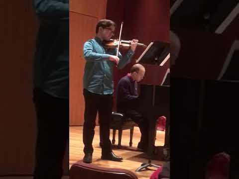 The Lark Ascending (excerpt)