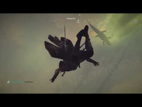 Assassin's Creed Origins - odc.8 - Krokodyle i hipopotamy czyli polowanie i zdobywanie , Krąg Serqet