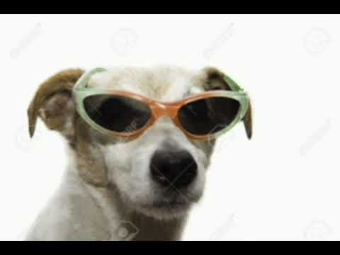 30 minutes of silence occasionally broken up by random sound effects