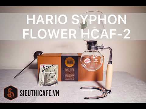 Hario Syphon Flower HCAF-2 Limited Edition