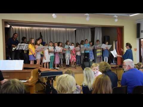 Land unter - die wilden Küken