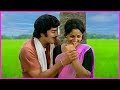 Krishna Jayaprada Evergreen Song Ammadu Navvali Song Allari Bava Movie Video Songs HD