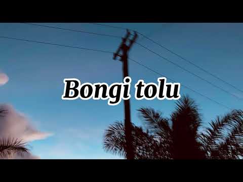 Bongi tolu. Island music (guale hits)