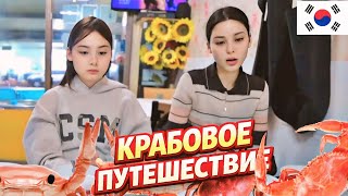 Чуть не забыли Гелика на заправке ^^ Семейное путешествие / KOREA VLOG