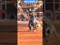 Indian Army Dog Training Shorts Army Viral Trending