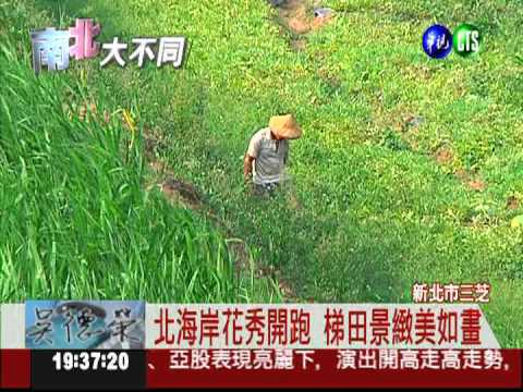 旅遊新景點! 三芝梯田美如畫