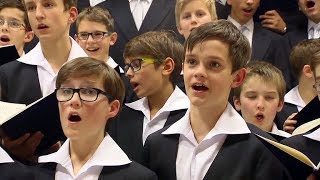 Dresdner Kreuzchor: Jauchzet, frohlocket! | MDR um 2 (11.12.2018)