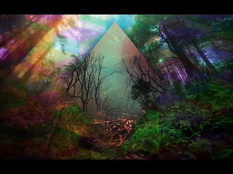 Dark Forest Psy Trance Mix ( DJ Yo Soy )