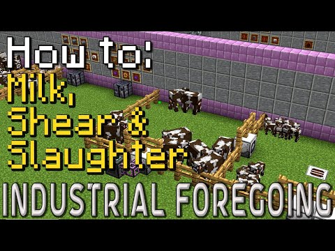 How to: Industrial Foregoing | Husbandry (Minecraft 1.20.1)