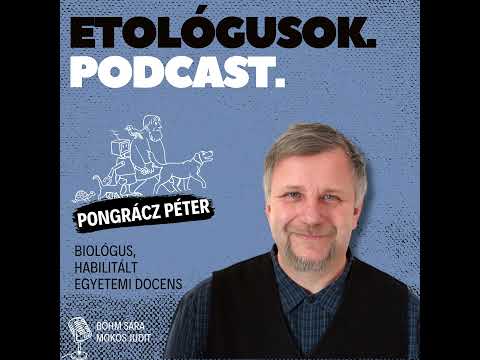 #6 Vadmacskák a házi macskák árnyékában I Beszélgetés Pongrácz Péterrel
