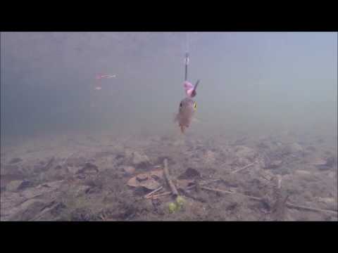 Kurkistus pinnan alle