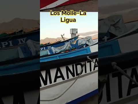 Linda playa y caleta en Los Molles, Comuna de La Ligua.#chile #losmolles#turismodeexperiencia