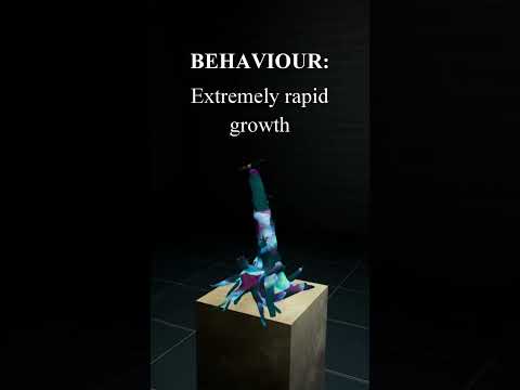 The Entropy Flower | IS-0155-B