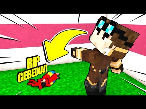 IL MIO PAPPAGALLO GEBEDIA È MORTO SU MINECRAFT!!!