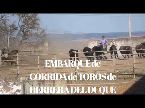 EMBARQUE de Corrida de Toros de VICTORINO para HERRERA DEL DUQUE