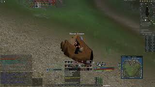 【DAoC】Reaver Solo Ywain #33【Dark Age of Camelot】