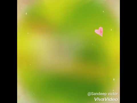 Gowtham birth day video