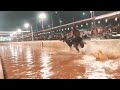 Puttur Kambala 2019