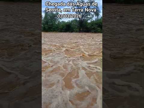 🇧🇷 CHEGADA DAS ÁGUAS DE SERRITA, EM TERRA NOVA, PERNAMBUCO 02/03/2026 #chuvas #nordeste #noticias