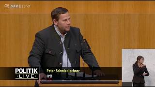 Peter Schmiedlechner - Spritpreis-Pfusch der Einheitspartei - 25.3.2026