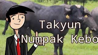 Download lagu Takyun - Ride a Buffalo mp3 Download lagu Takyun - Ride a Buffalo mp3