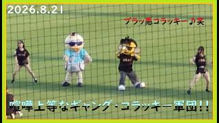 [2026.8.21] 喧嘩上等なひな丸＆コラッキー！ ＠SGLスタジアム～内野指定席(1塁)視点～ 【阪神タイガース】