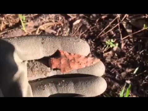 Arrowhead Hunting - Smokers and Cooking Balls Video