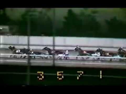 1982 Meadowlands FORTUNE TELLER Woodrow Wilson Pace Eldon Harner