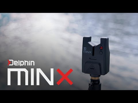 Delphin MINX