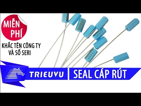 gioi thieu seal cap rut niem phong thung container va cach su dung