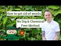 How get rid of garden weeds: no dig & chemical free weeding tips