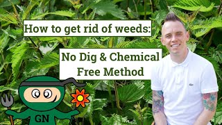 How get rid of garden weeds: no dig & chemical free weeding tips