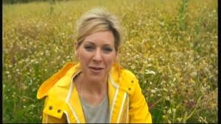 Summer wild flowers in concrete - BBC - 31st July 2016