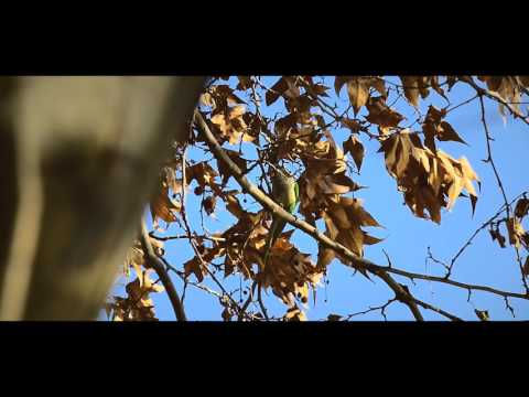 Er Drago - Brucio in fretta (prod. Depha Beat)