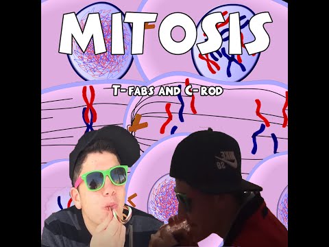 ||Mitosis||C-Rod and T-Fabs (OFFICIAL BIOLOGY RAP MUSIC VIDEO) [HD] (Berthelot Period 5) Mitosis Rap