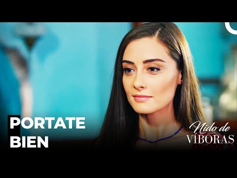 Bereket Dio Consejos A Elvan - Nido De Víboras