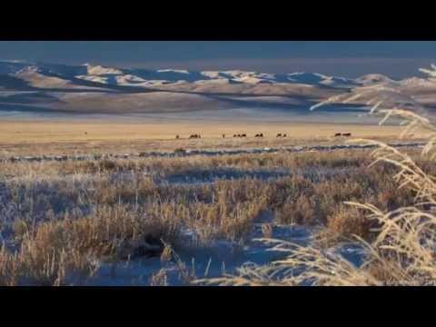 G.Batsaikhan - Munkhiin orchlon