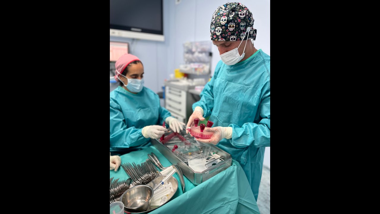 Rubèn Baltà I Arandes-14