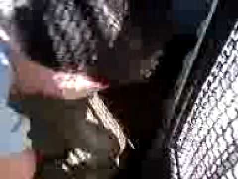 giuliano e il divano maledetto...