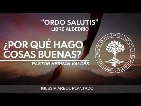 404 - Ordo salutis -  Libre albedrío - ¿Por qué hago cosas buenas?